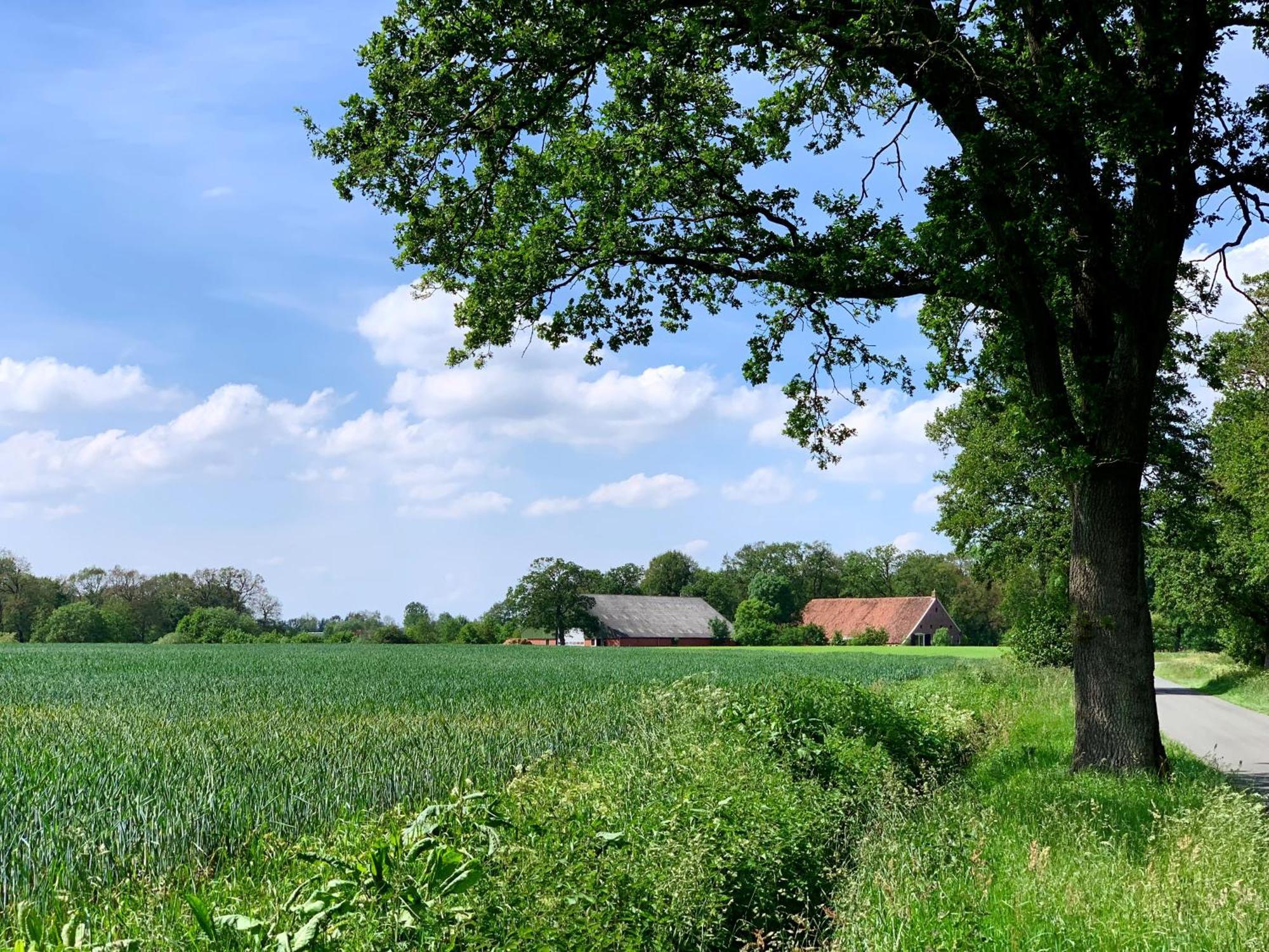 De Hiddinghhoeve Onstwedde Exterior foto