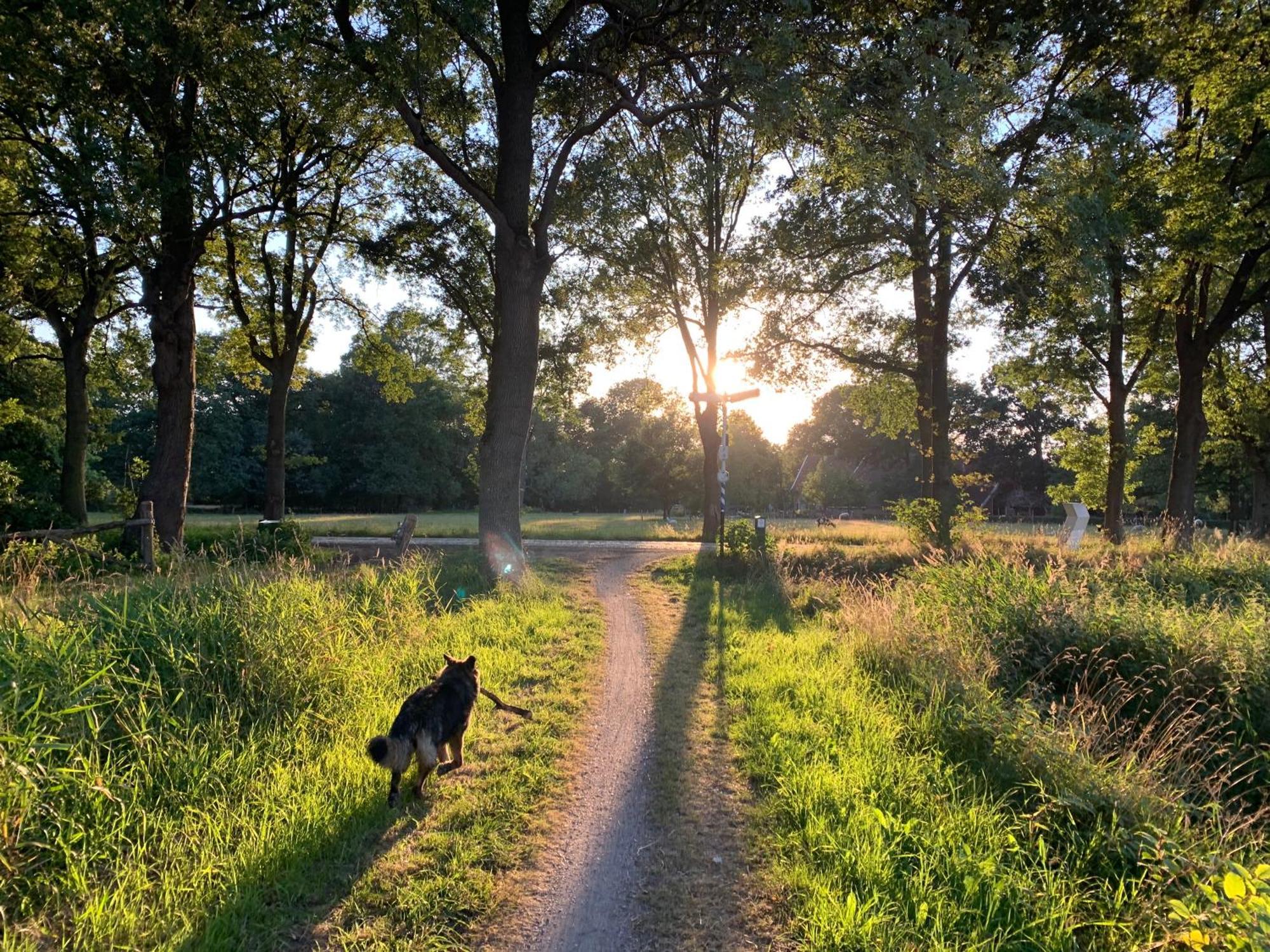 De Hiddinghhoeve Onstwedde Exterior foto