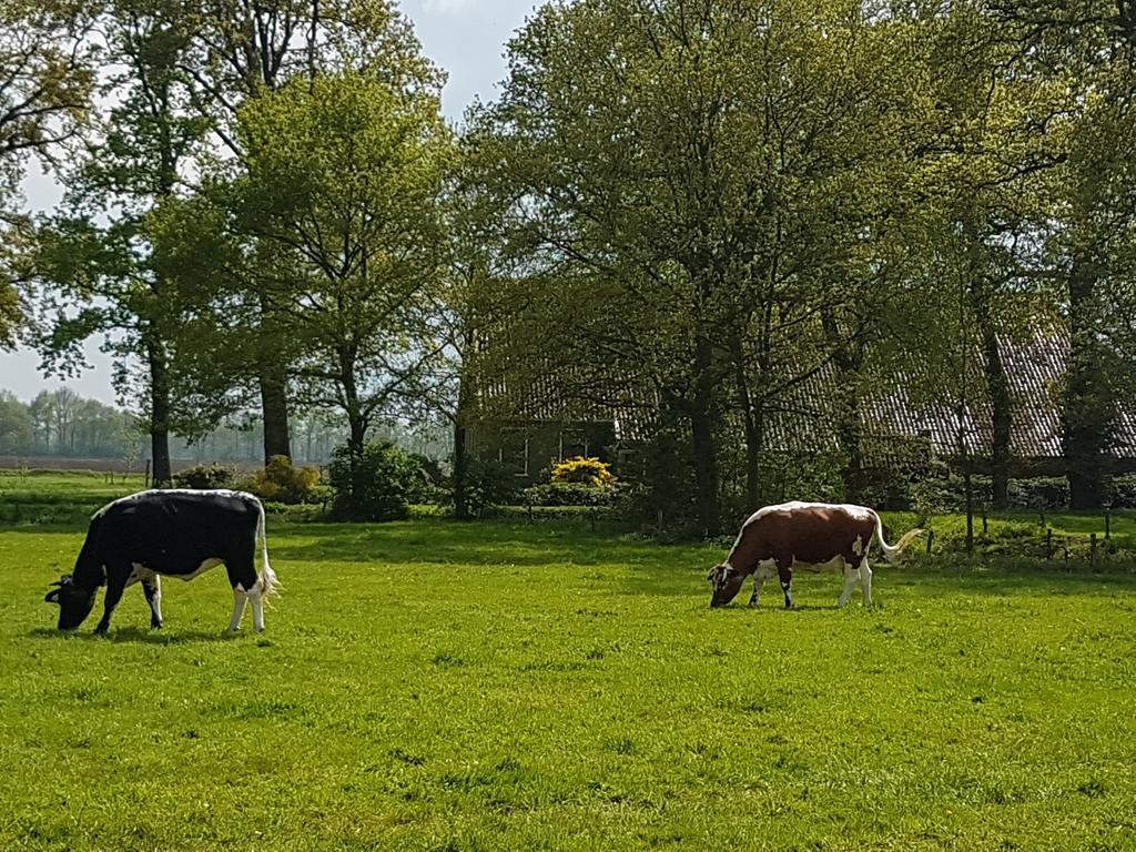 De Hiddinghhoeve Onstwedde Exterior foto